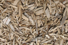 biomass boilers Rydeshill